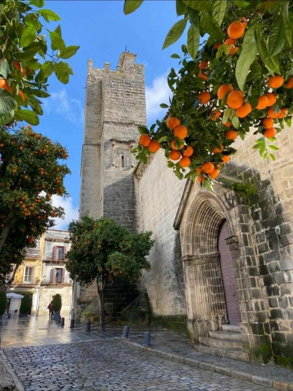 Sherryflat Porvenir, Jerez de la Frontera – Preus ...