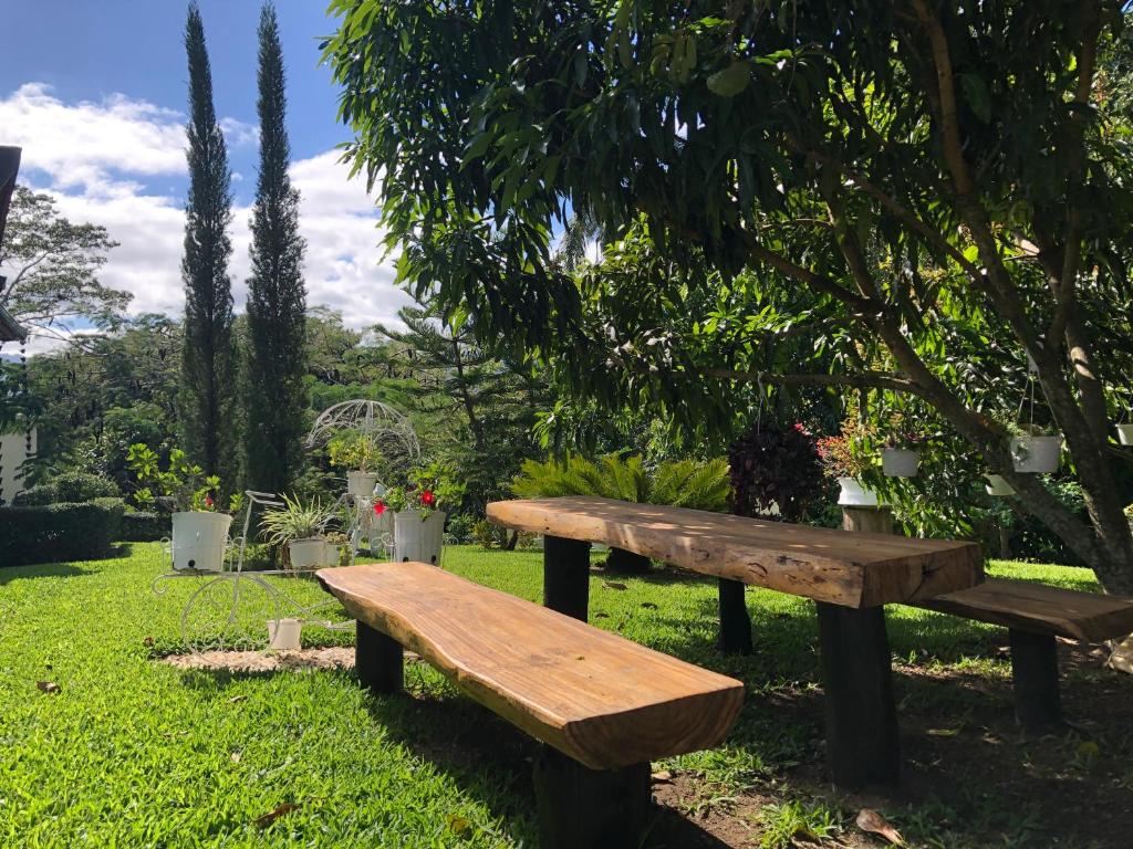um banco de madeira sentado na relva perto de uma árvore em Rancho Jacob By Hospedify Preciosa Villa campestre con un amplio patio hermoso jardín cómodo gazebo y piscina em Jarabacoa