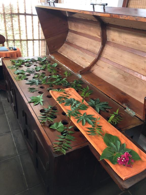 Turtle Bay Boutique Hotel - 19