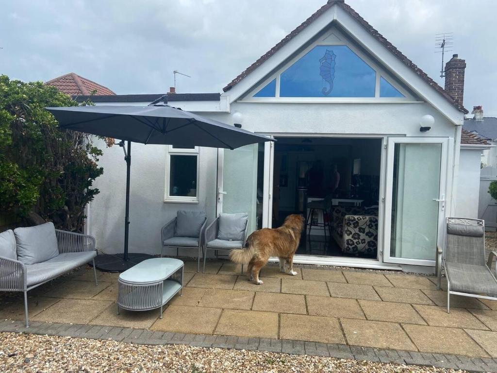 Pet friendly unique 4Bed Bungalow in Porthcawl, Porthcawl (updated