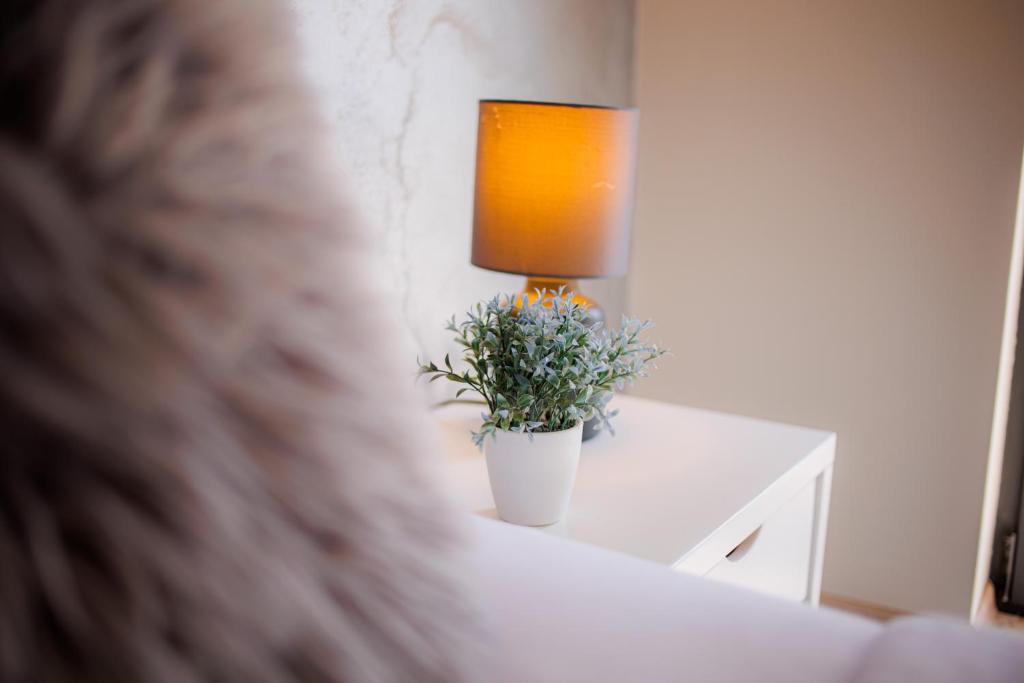 Fotografie z fotogalerie ubytování VonAmor Rooms v destinaci Novi Sad
