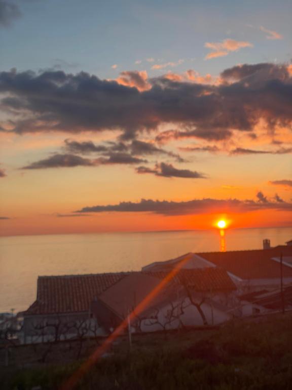 Příroda nedaleko apartmánu