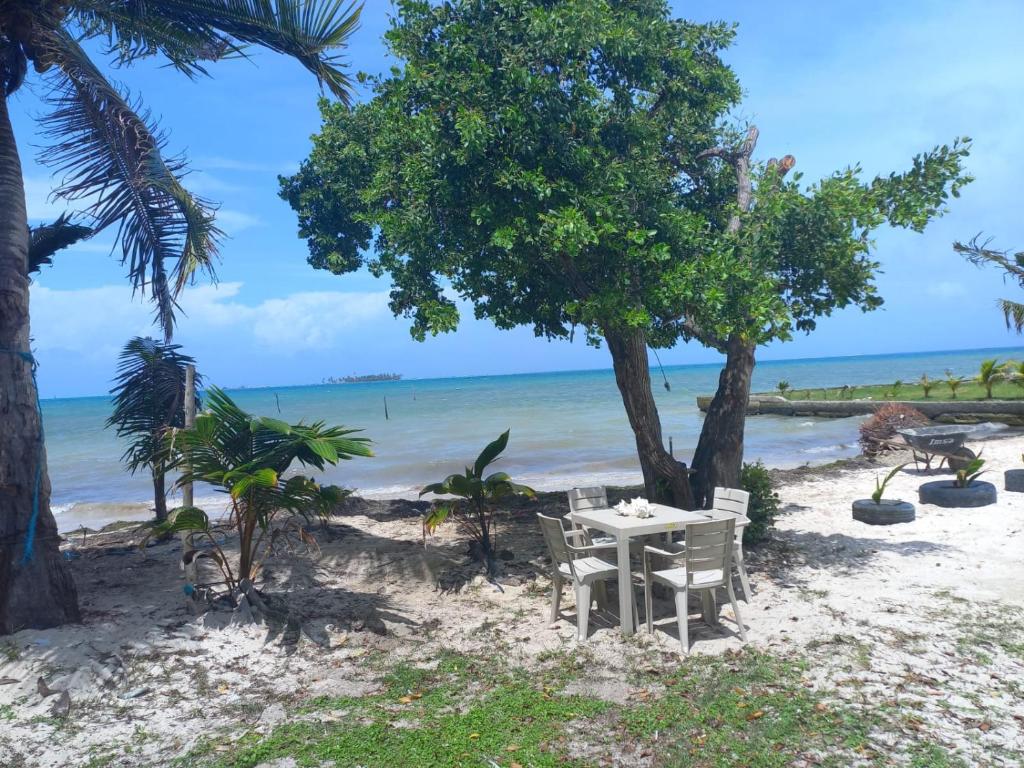 a table and chairs on a beach with the ocean at FRESH BEACH HOUSE in San Andrés