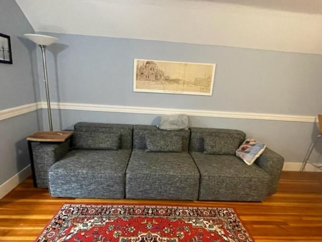 sala de estar con sofá y alfombra en Comfortable loft with private bathroom, en Boston