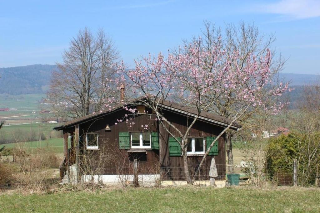 una casa vieja en un campo con un árbol en Chalet - Le Champ des Perches, Berlincourt, en Glovelier