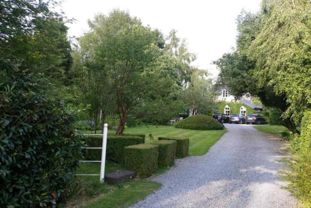 uma estrada com sebes e uma cerca num parque em The Old Goathouse em Kildare