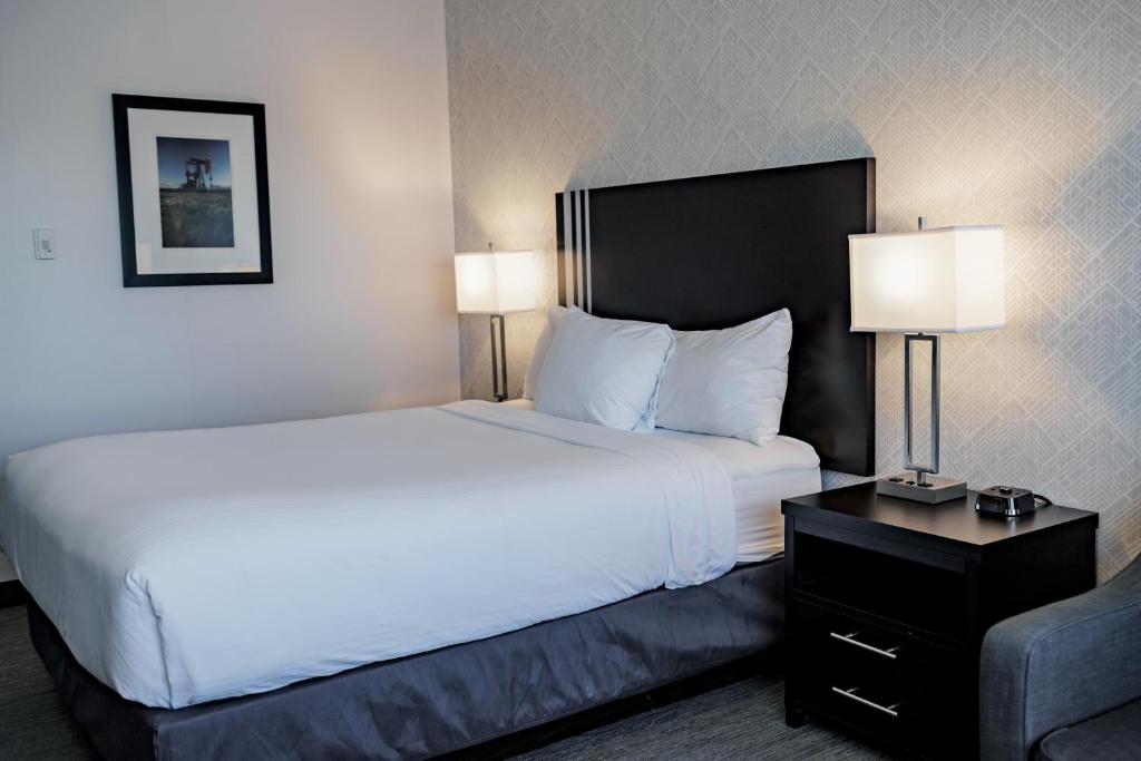 Postel nebo postele na pokoji v ubytování Park Inn by Radisson Edmonton Airport
