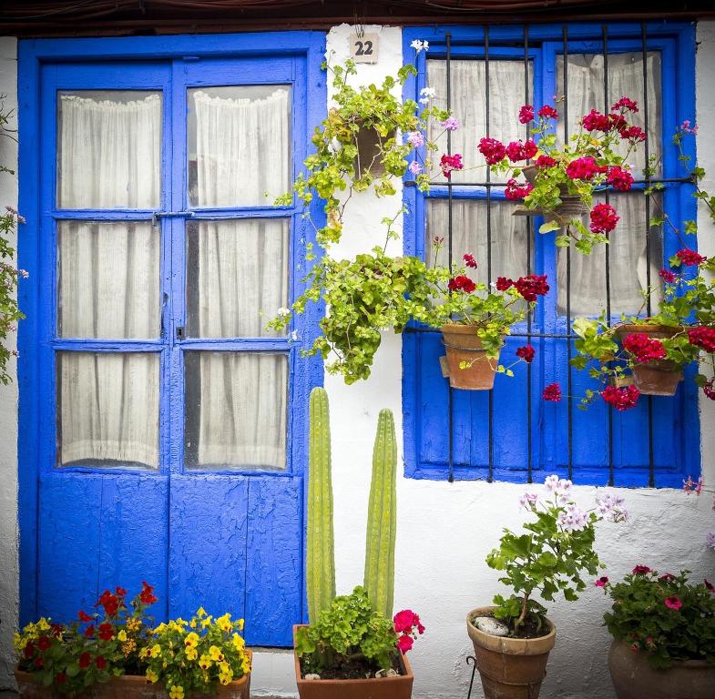 A garden outside El patio de Lindo