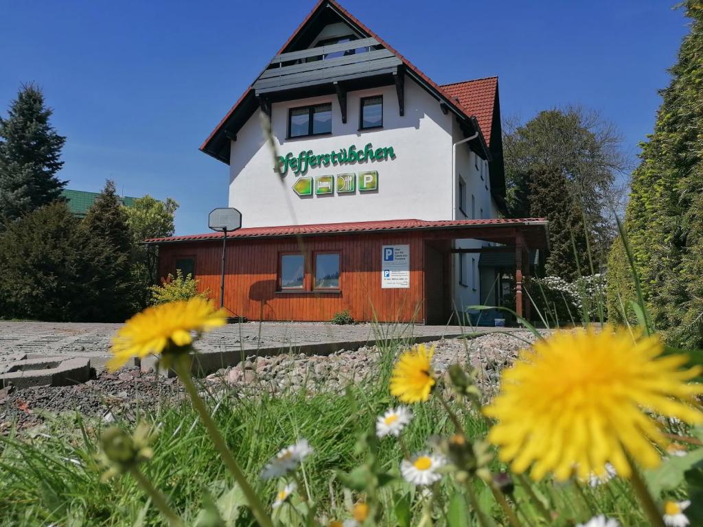Zahrada ubytování Pension Pfefferstübchen