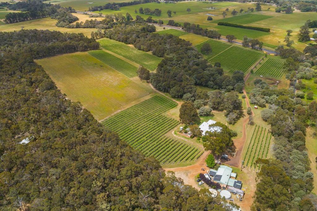 an aerial view of a farm with a bunch of vines at Island Brook Estate Vineyard and Chalets in Yelverton