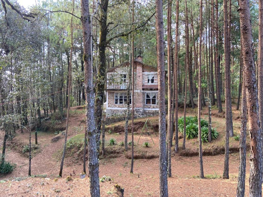 uma casa no meio da floresta em Cabañas charolet em Camotepec