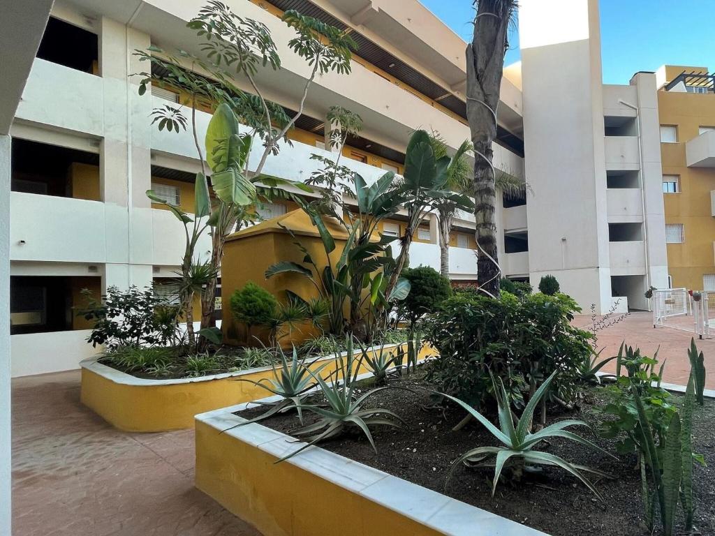 Charming apartment in Málaga near seabeach, Málaga – Updated ...