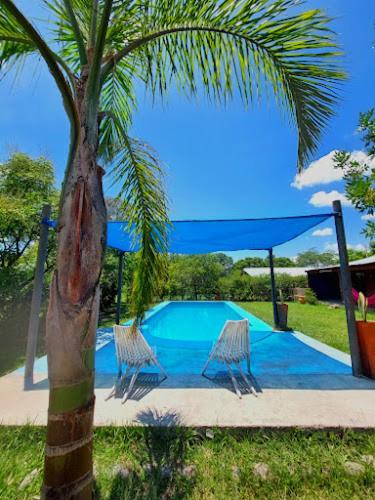 uma palmeira e duas cadeiras ao lado de uma piscina em Hostel Raíces Salta em Salta
