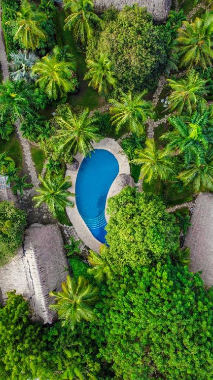 una vista sul tetto di una piscina nel mezzo di una foresta di Dreamer Palomino a Palomino
