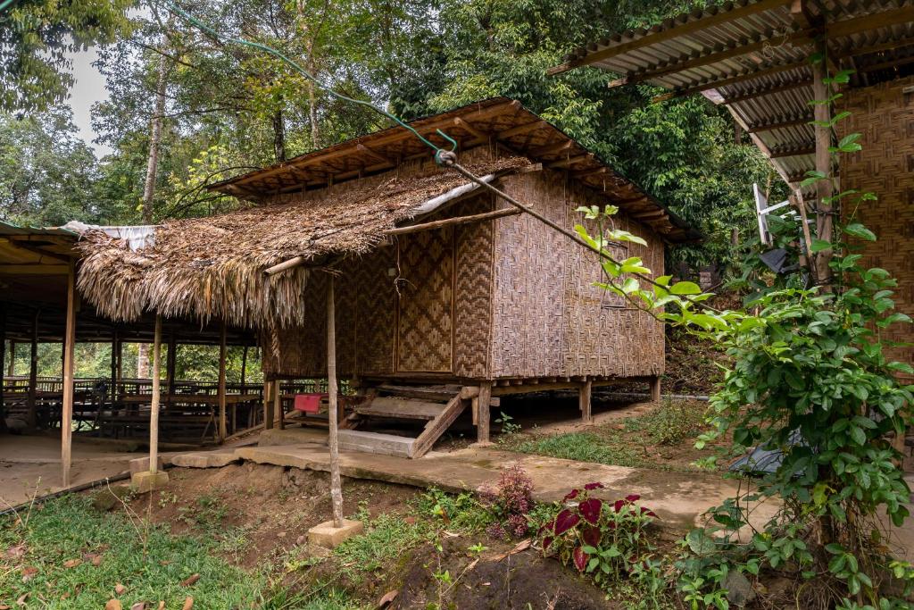 una piccola capanna con tetto di paglia di Rain Forest Inn a Ringlet