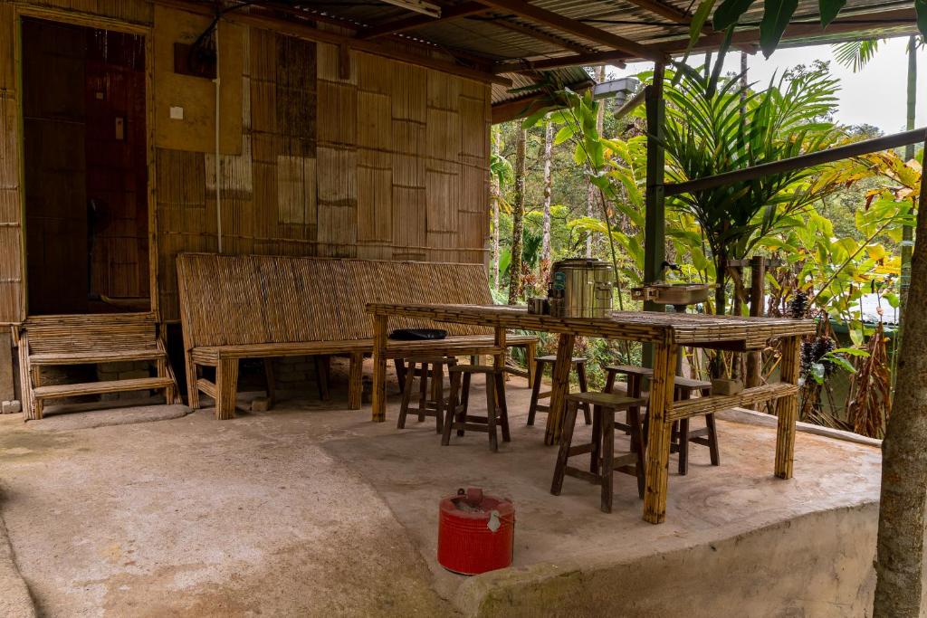 Ristorante o altro punto ristoro di Rain Forest Inn