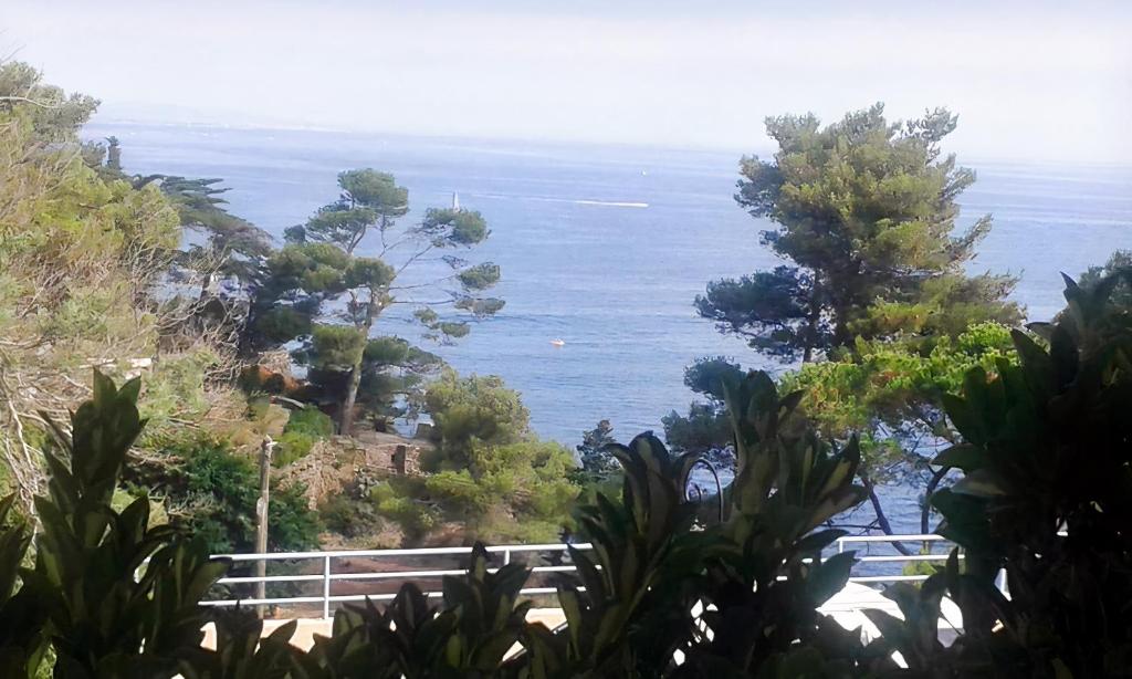 Le Grand Large Studio Cabine Sur Une Crique