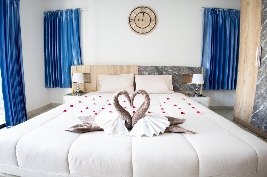 Grand View Premium - 2