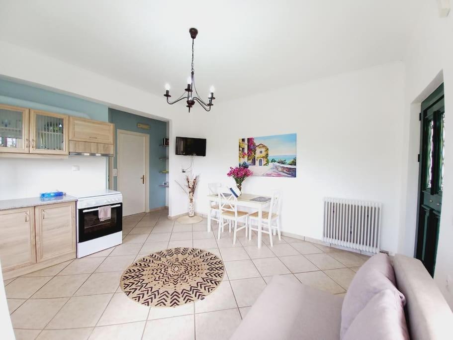 Kuchyň nebo kuchyňský kout v ubytování AGIOS LEON APARTMENT 1