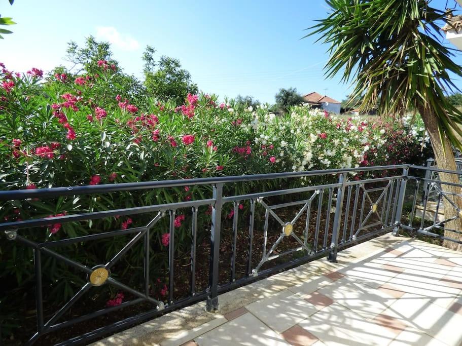 Zahrada ubytování AGIOS LEON APARTMENT 1