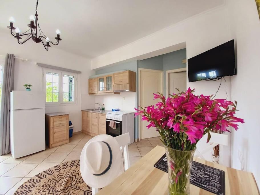Kuchyň nebo kuchyňský kout v ubytování AGIOS LEON APARTMENT 1