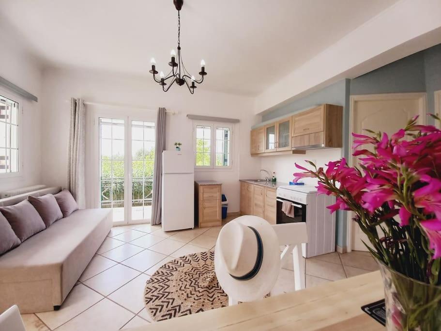Kuchyň nebo kuchyňský kout v ubytování AGIOS LEON APARTMENT 1