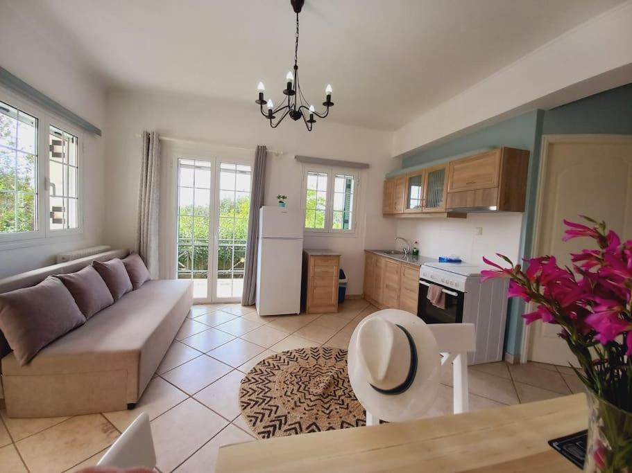 Kuchyň nebo kuchyňský kout v ubytování AGIOS LEON APARTMENT 1
