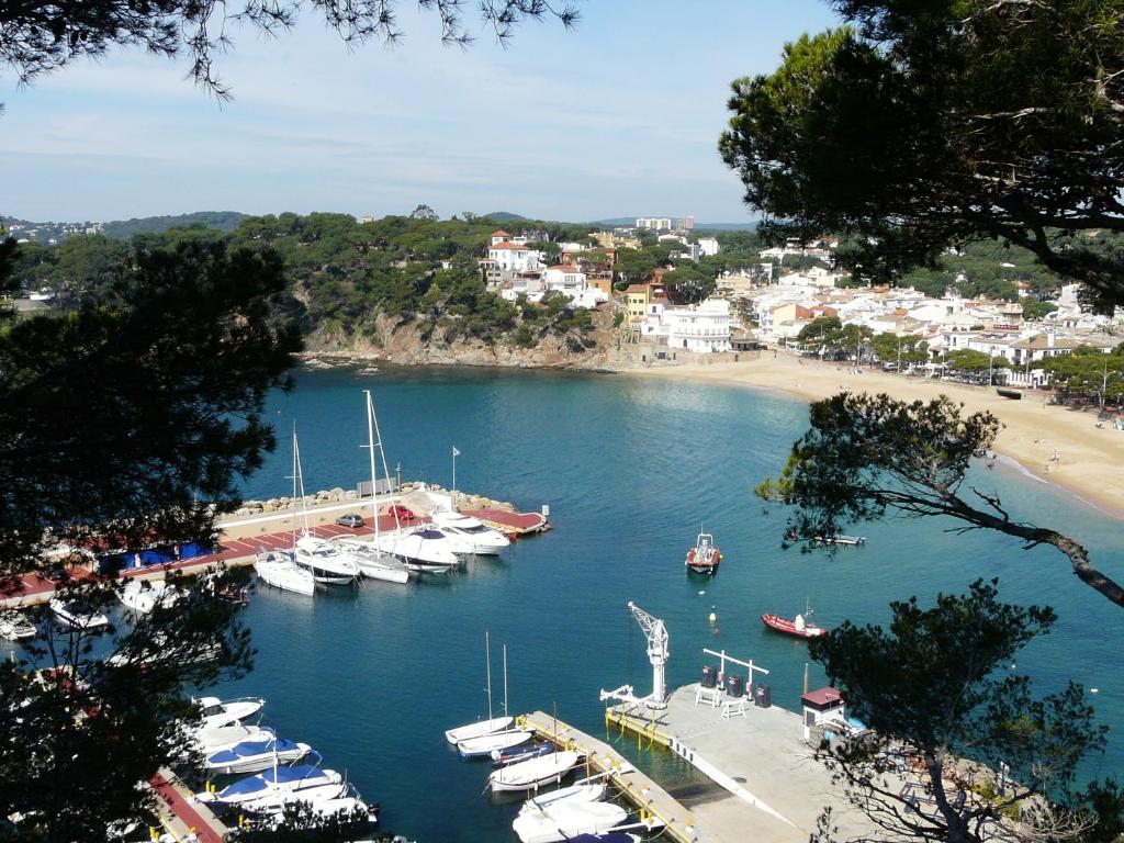 Príroda v okolí apartmánu