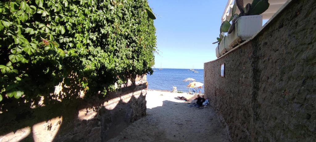 a group of people sitting on a beach with an umbrella at Fracco's House S. Marinella fronte mare 36' di treno da Roma in Santa Marinella