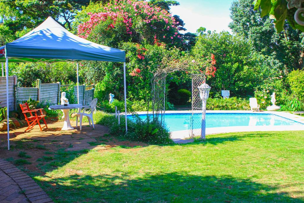 a blue tent next to a swimming pool at Heroes Garden Lodge in Pietermaritzburg
