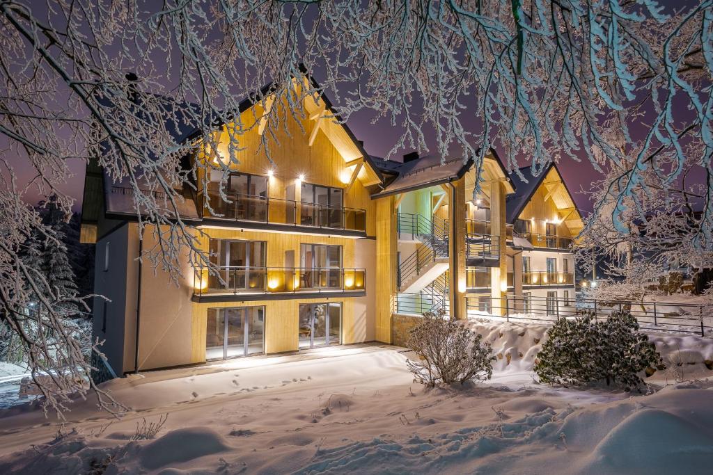 a house in the snow at night at Apartamenty na Uroczysku in Szklarska Poręba