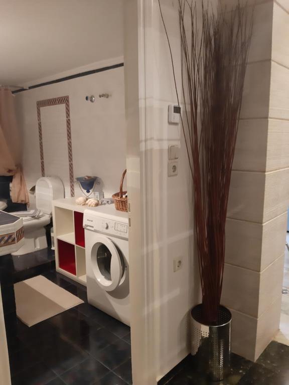 Elegante apartamento centrale - 16