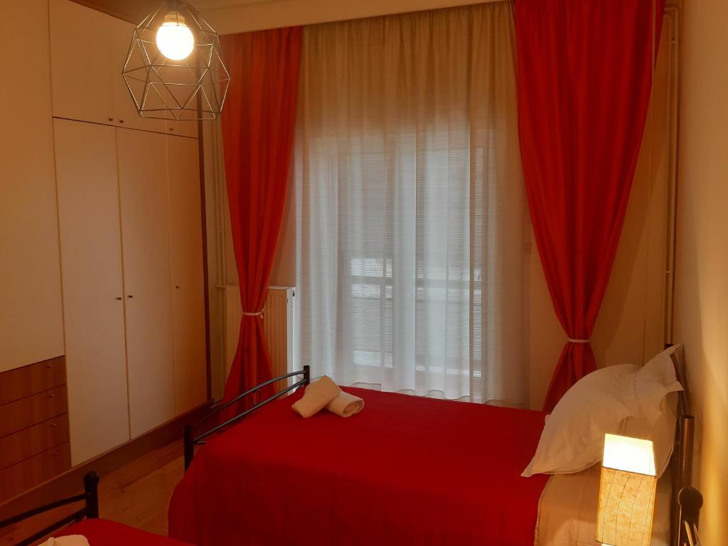 Elegante apartamento centrale - 19