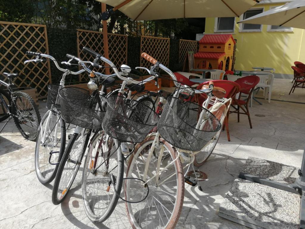 Jízda na kole v ubytování Hotel Kennedy nebo okolí