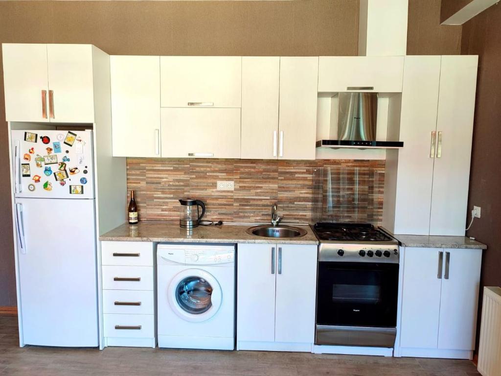Kuchyň nebo kuchyňský kout v ubytování Cozy Flat in Bakuriani