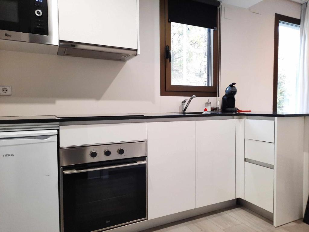 Kuchyň nebo kuchyňský kout v ubytování Apartamentos Ordesa Ainsa