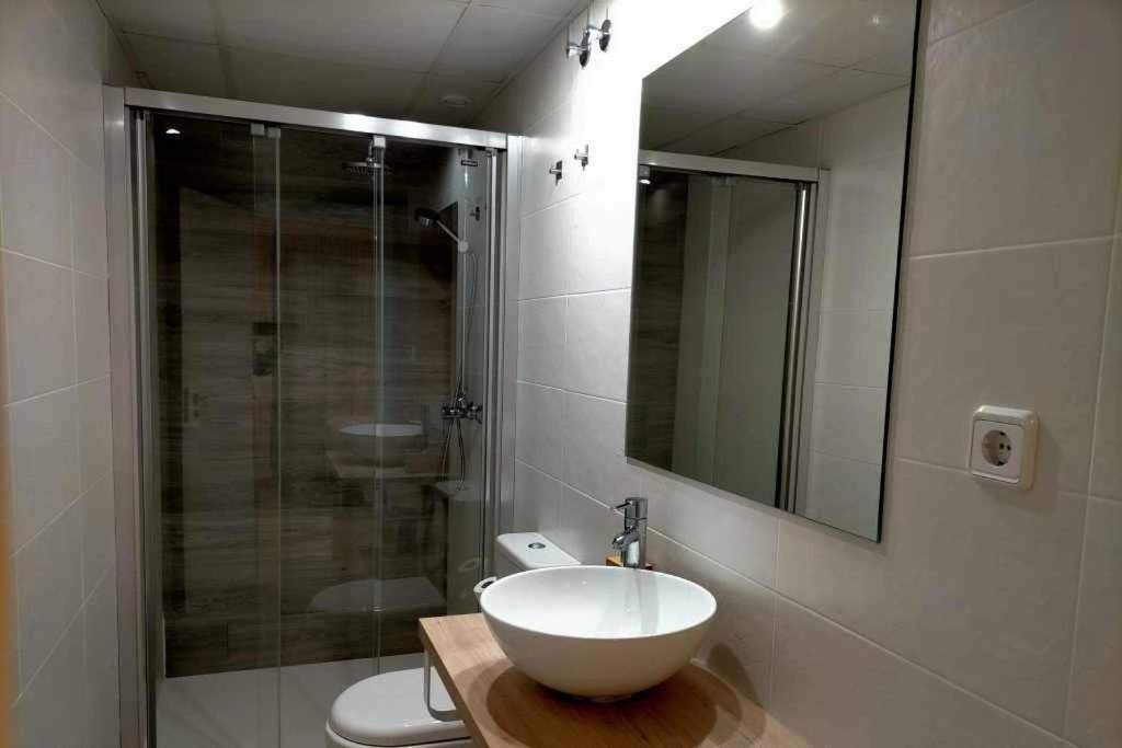 Koupelna v ubytování Apartamentos Ordesa Ainsa