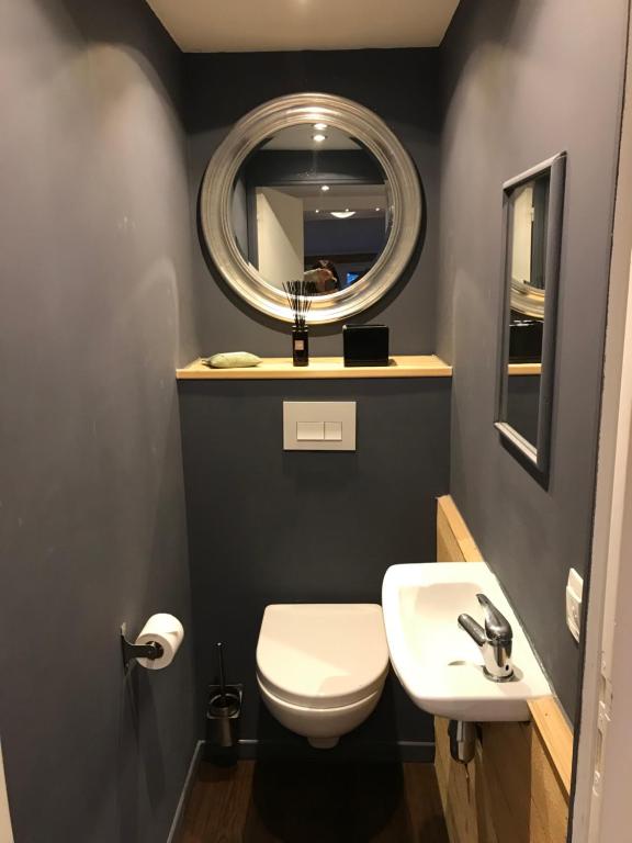 a bathroom with a white toilet and a mirror at Appartement Cosy Chelles in Chelles