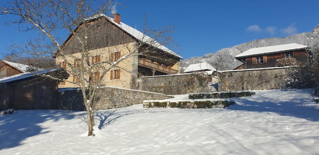 un edificio en la nieve con un árbol delante en La belle des praz en Mieussy