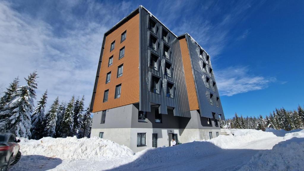 Το Apartman N&V, Villa Mont Jahorina τον χειμώνα