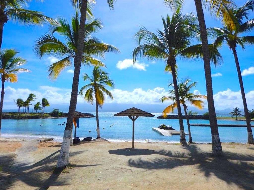 a beach with palm trees and a boat in the water at La Rose du Marisol in Le Gosier