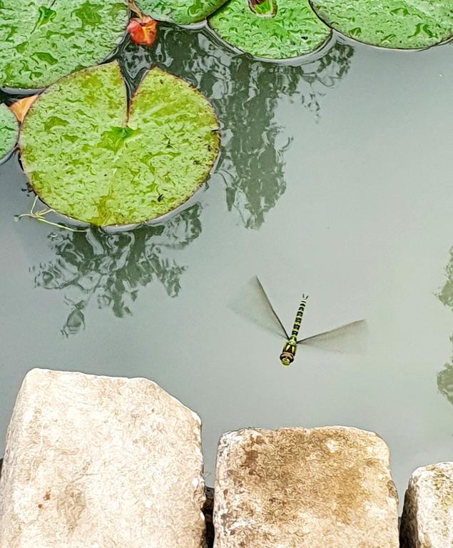 Fotografie z fotogalerie ubytování Terre Happy v destinaci Wibrin