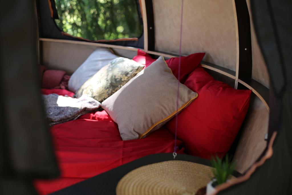 Posezení v ubytování Nature calls - tree tents