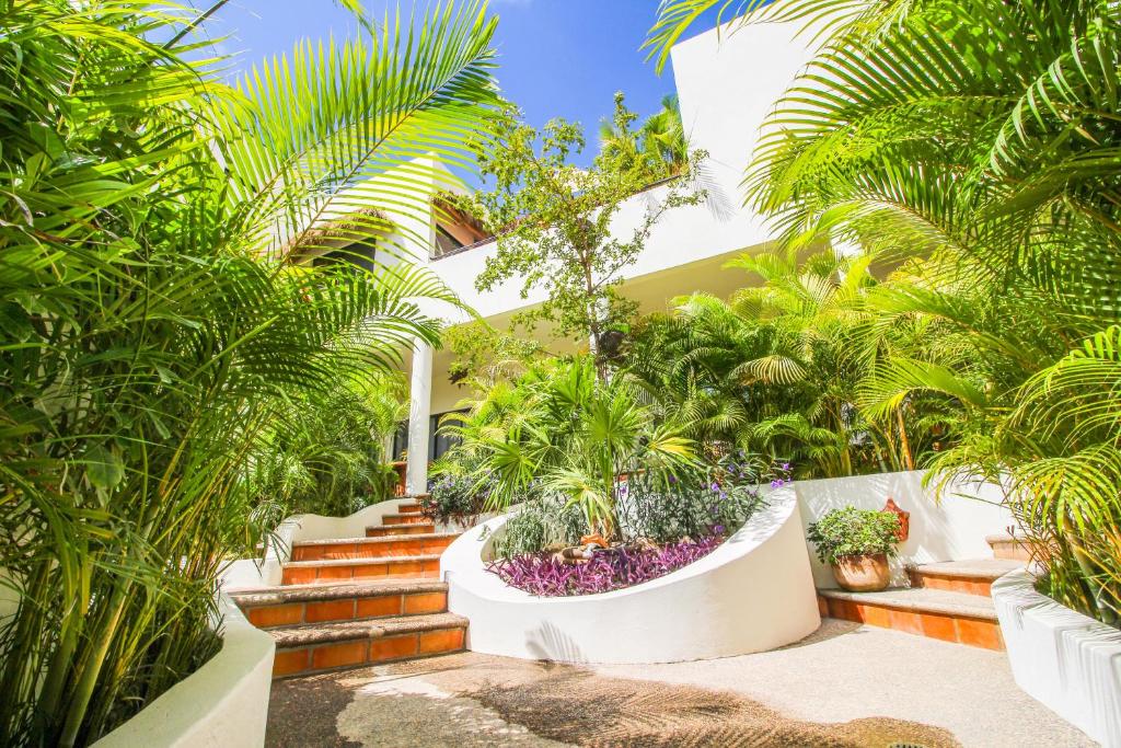 uma casa com um jardim com palmeiras e escadas em Vida Feliz Casitas em Sayulita