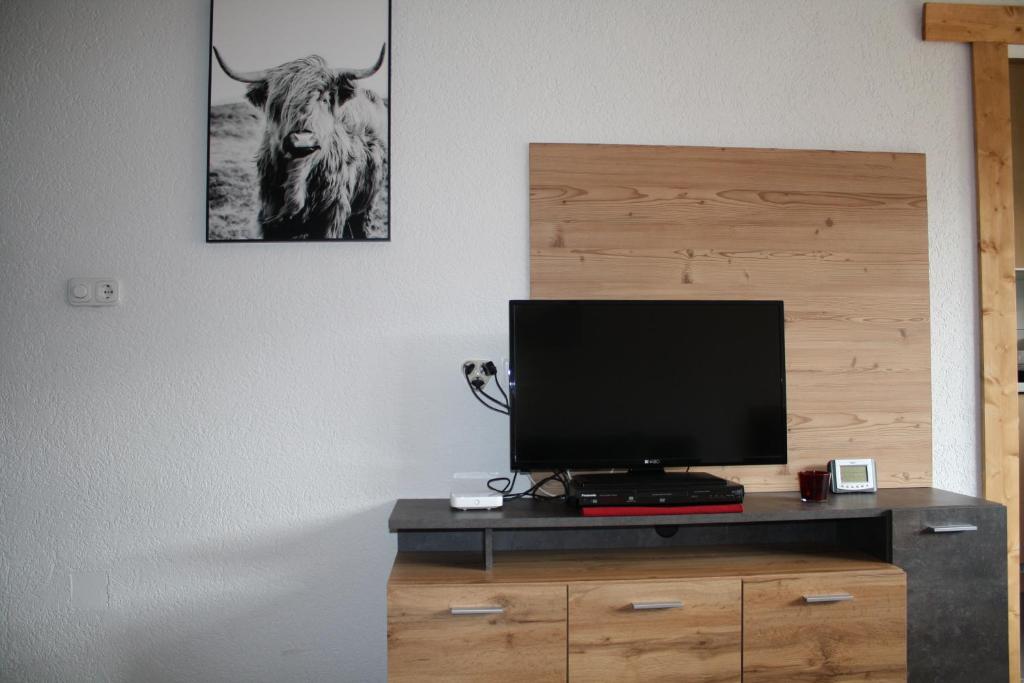 Televízia a/alebo spoločenská miestnosť v ubytovaní Mühlbach Alpendomizil II