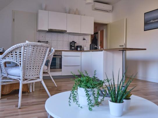 Kuchyň nebo kuchyňský kout v ubytování Strand Apartman