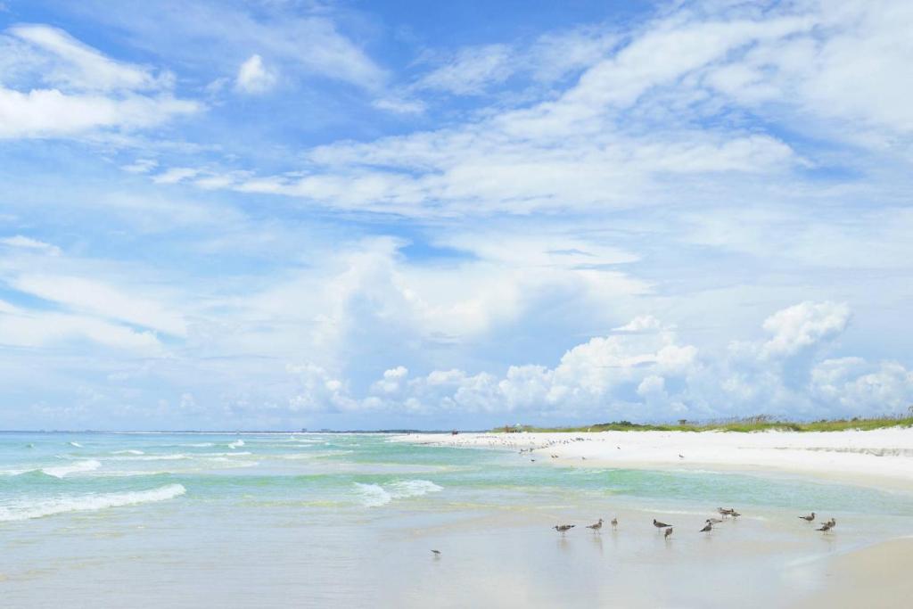 Fotografie z fotogalerie ubytování Peach's Place v destinaci Pensacola
