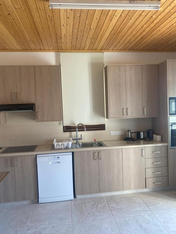 Kuchyň nebo kuchyňský kout v ubytování TheonikosHouse
