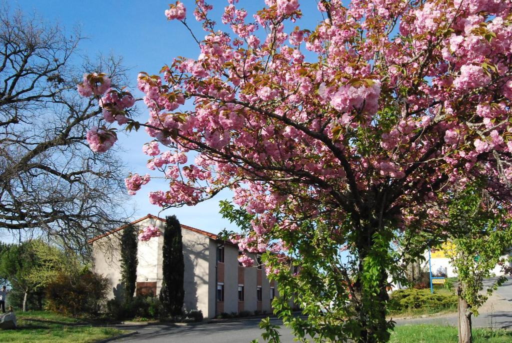 uma árvore com flores cor-de-rosa em frente a um edifício em Hôtel Restaurant du Lac em Graulhet