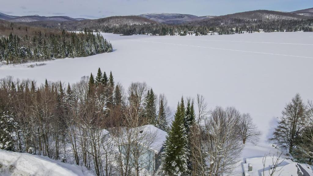 a view of a snow covered lake with trees at Chalet Le Pélican in Lac-Superieur